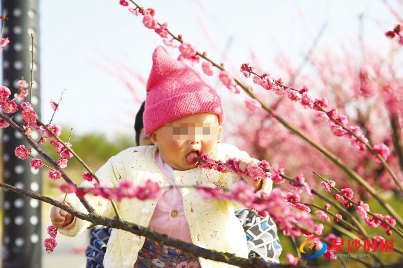 　　3月至11月是皮肤病高发期，尤其是丘疹性荨麻疹，市民外出游玩应注意预防。曾诗怡 摄