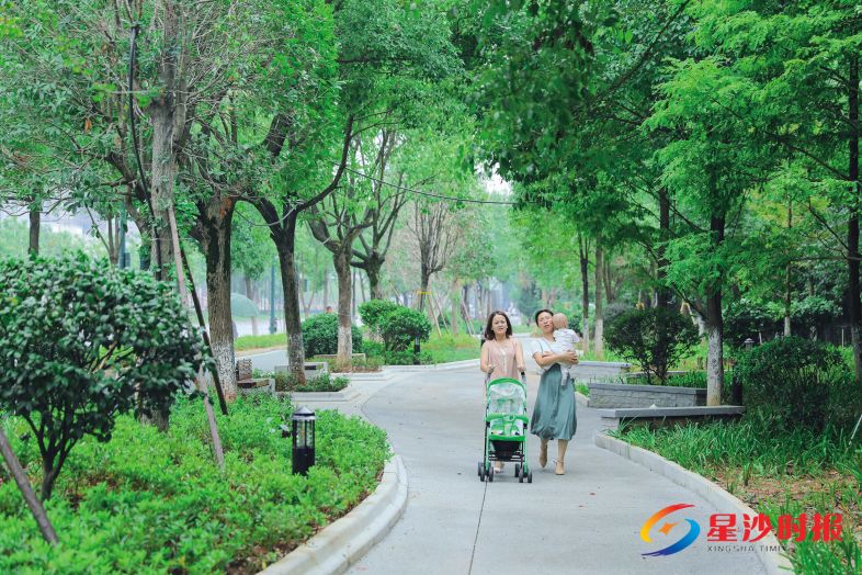 　　星沙大道改建了绿道人行道，实现人车分流，让行人安全畅行，累了还可以在街头小公园的石凳上休息。 章帝 摄