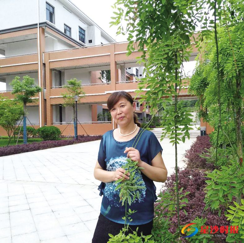 　　长沙师范学院附属春建小学  张迎霞