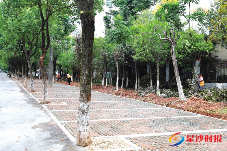 　　东升路与凉塘路东北角（老政务服务中心）边，新增38个停车位即将对市民开放。 章帝 摄