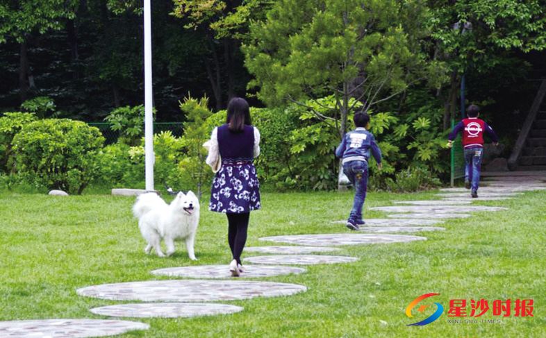 　　星沙一市民在公园遛狗，但未给爱犬牵绳。今年通过的《长沙市养犬管理条例（草案）》对外出遛狗等行为作了明确规定。盛磊 摄