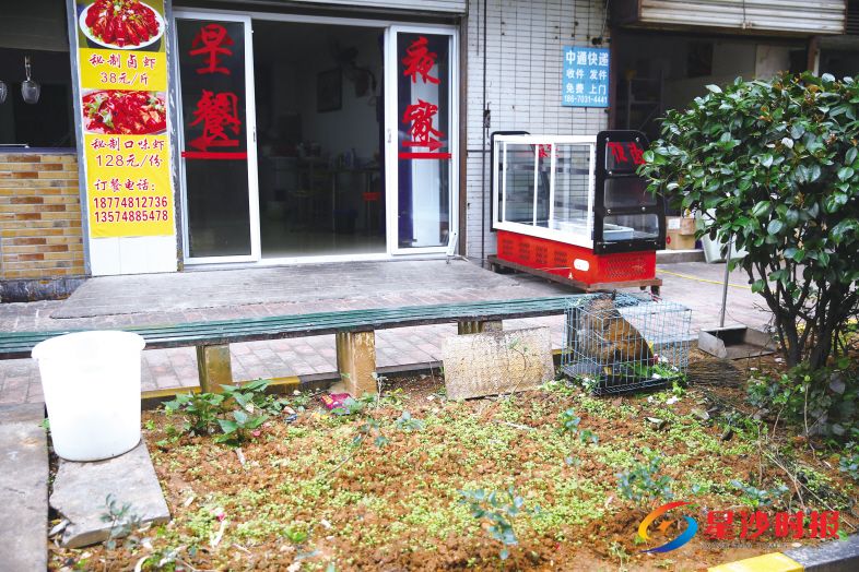 　　尚都花园城小区内一早餐店在门前绿化带违规种菜、养鸡。 盛磊 摄