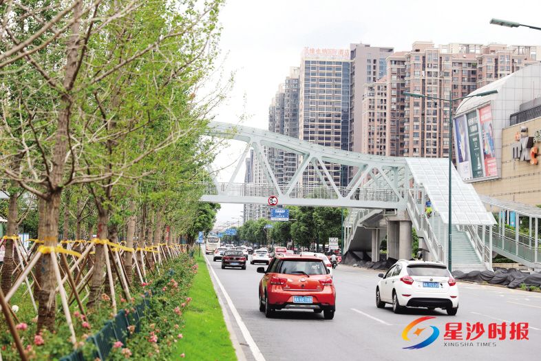 　　今年8月，星沙大道上的人行天桥开放，不仅缓解了该路段的高峰拥堵，尤其保障了行人过街安全，同时增设人行步道、优化绿植品类等，成为市民眼中的“星光大道”。　　章帝 摄