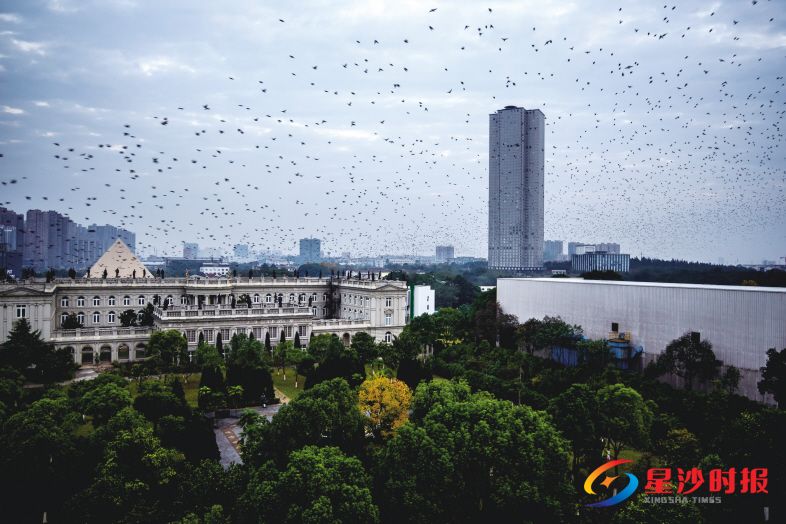 　　清晨的远大城。 刘建 摄