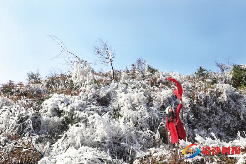 　　影珠山雾凇。刘百浩 摄