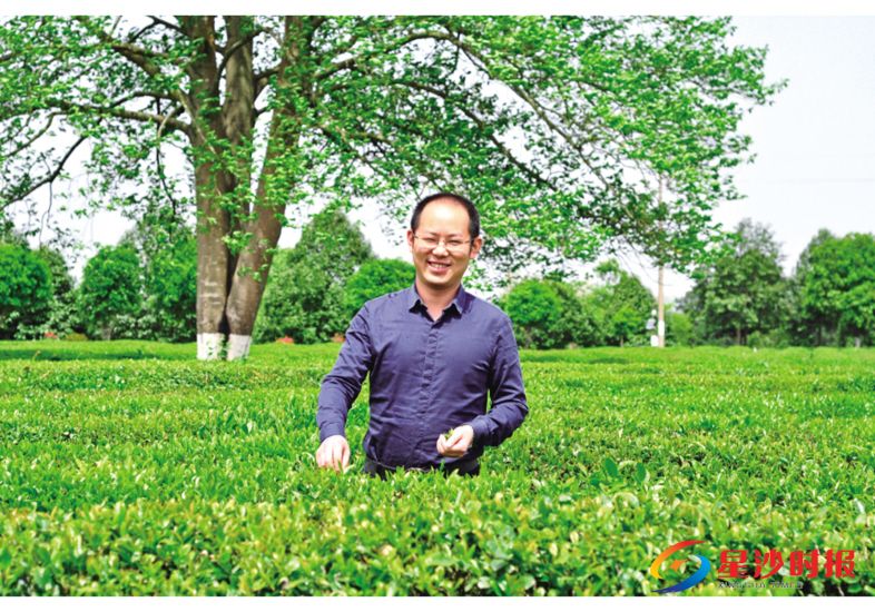 　　长沙县金井茶厂总经理周宇接棒父辈的创业之路，打响湘茶老字号招牌。　　均为周宇供图
