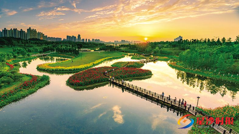 　　人在花海游。刘百浩 摄