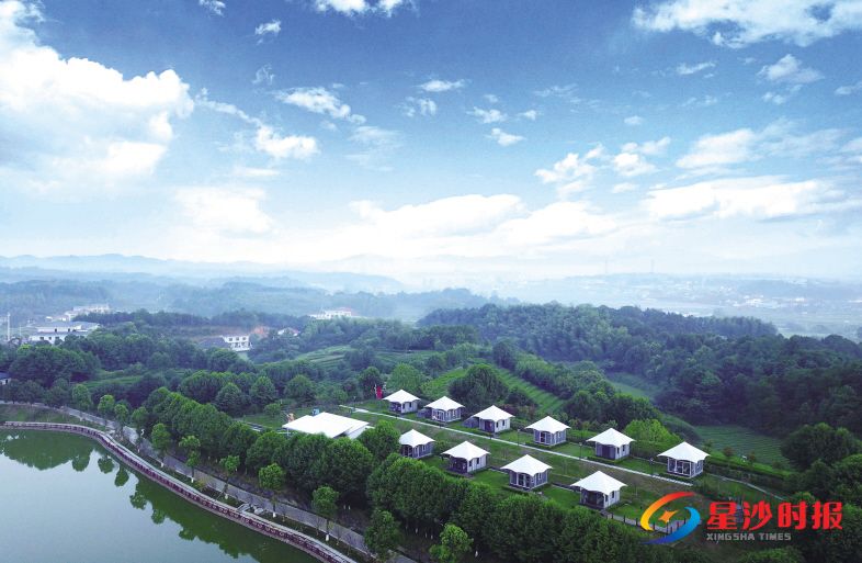 　　长沙县金井镇湘丰村森林覆盖率90%以上，绿色成为这里的生产特色、生态底色、生活本色。图为湘丰茶博园的帐篷酒店。彭家瑞 摄