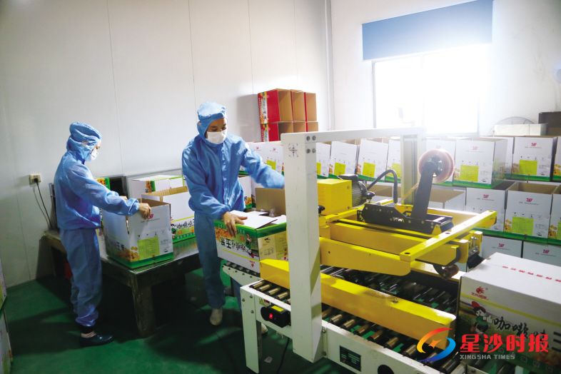 　　在长沙味味食品有限公司生产车间，工人们正在包装食品。罗展 摄