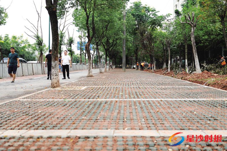 　　东升路旁新增38个生态停车位。 章帝 摄