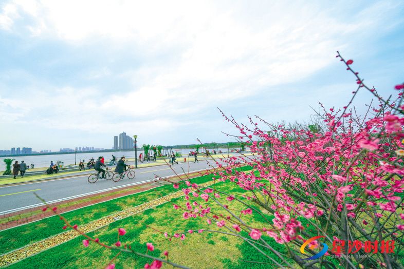 　　阳光明媚的春日，松雅湖畔游人如织，竞相开放的一株株梅花更是将春的气息衬托得更加浓厚。章帝 摄