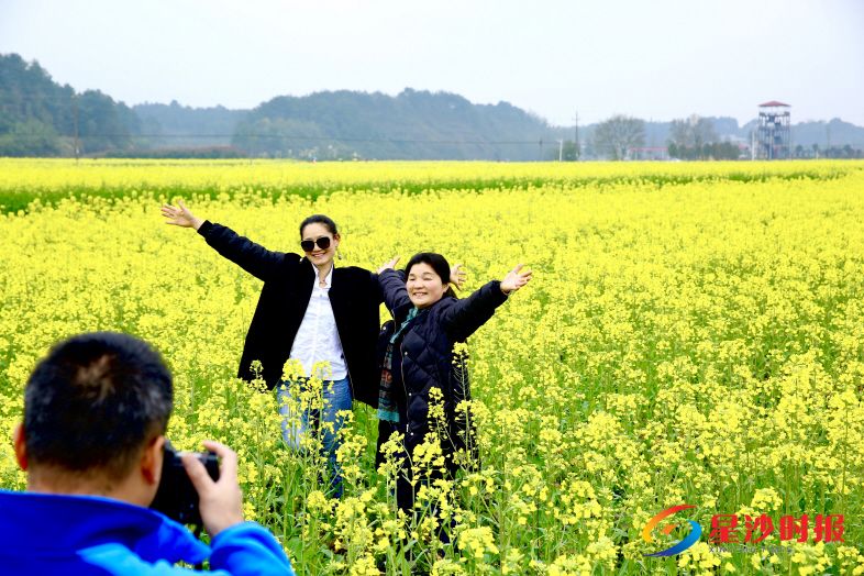 长沙县江背镇油菜花旅游节本月19日启幕,江背镇锦绣江南第四届红樱文化旅游节17日举行,等你来赏。 曾诗怡 摄