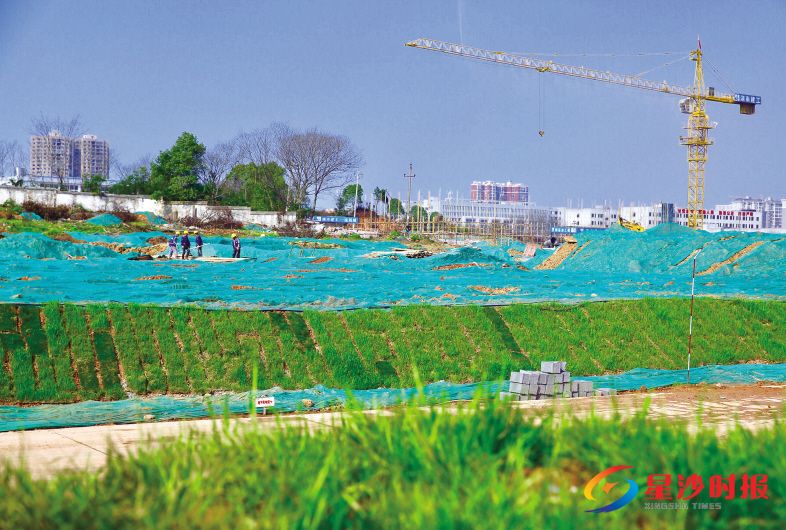 　　长沙县在建工地上，除了硬化道路和物料堆放区，所有裸露地块上都铺上了绿网和草坪。曾诗怡 摄