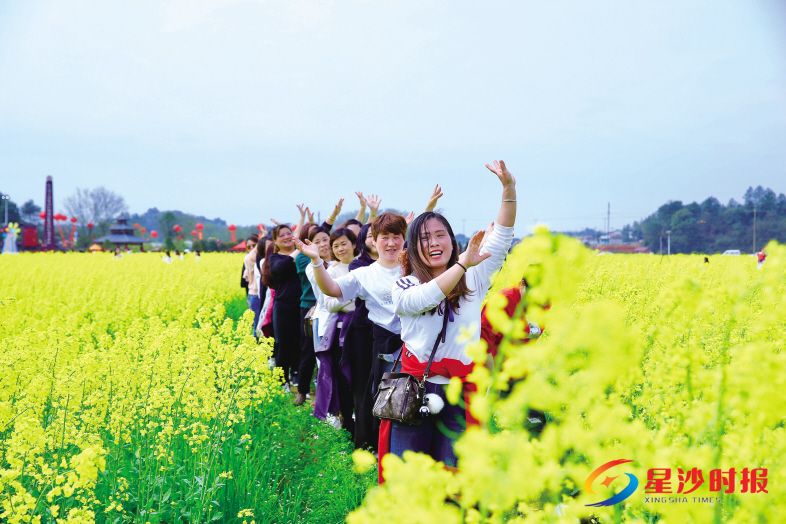 　　长沙县江背镇油菜花旅游节活动吸引了来自全省各地的数千名游客前来赏花游玩，尽情享受油菜花盛开带来的喜悦。曾诗怡 摄