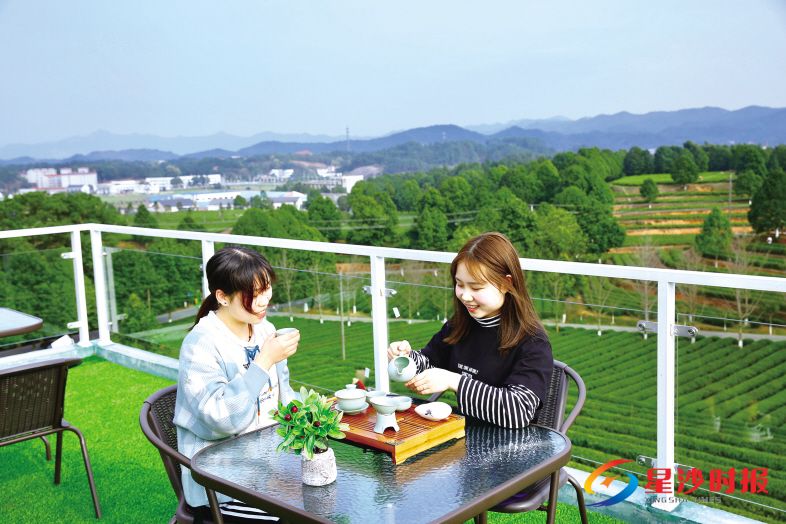 　　金井茶园如绿色锦缎绵延舒展，让人不禁想在此沿水而居，倚茶园而生，劳作之余，汲水品茗。