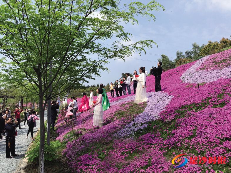 　　清明假期，长沙县路口镇景然园林举办第二届牡丹文化艺术节，音乐会、萌宠展、花艺展等丰富多彩的活动吸引了众多游客前往。　　景区供图