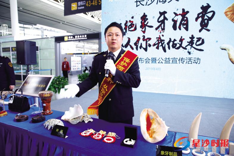 　　活动现场陈列了海关查获的象牙制品、羚羊角、砗磲、鹿角、穿山甲鳞片、独角鲸牙、小叶紫檀、沉香等。曾诗怡 摄