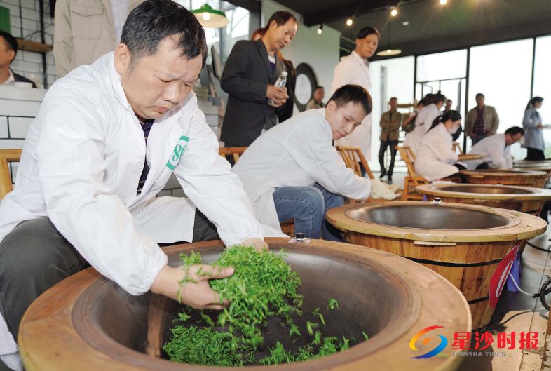 　　长沙县“十行状元 百优工匠”职工职业技能竞赛手工制茶比赛在金井开赛，30名手工制茶选手现场比拼“手上”功夫。　　章帝 摄