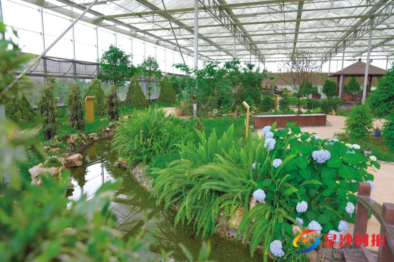 　　逛养生仙草园，各色草本植物让你目不暇接。