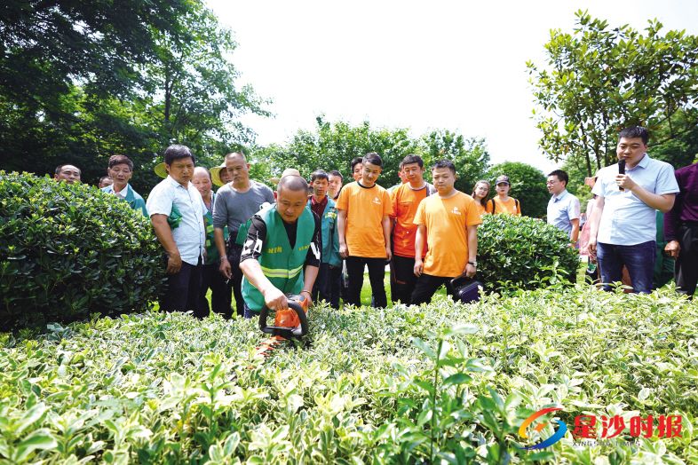 　　昨日，在星沙生态公园，长沙县城管局园林部门组织园林工人参加培训。　　盛磊 摄