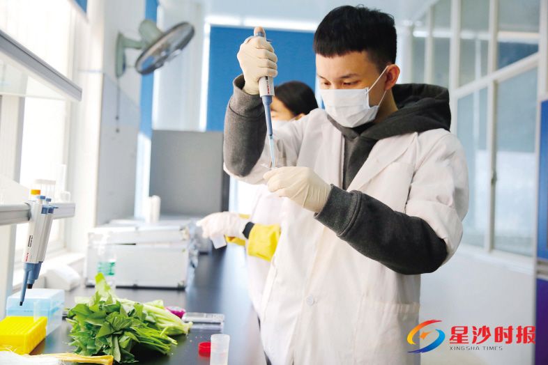 　　在长沙县湘龙监管所快检室，工作人员正在对样品进行快速检测。章帝 摄