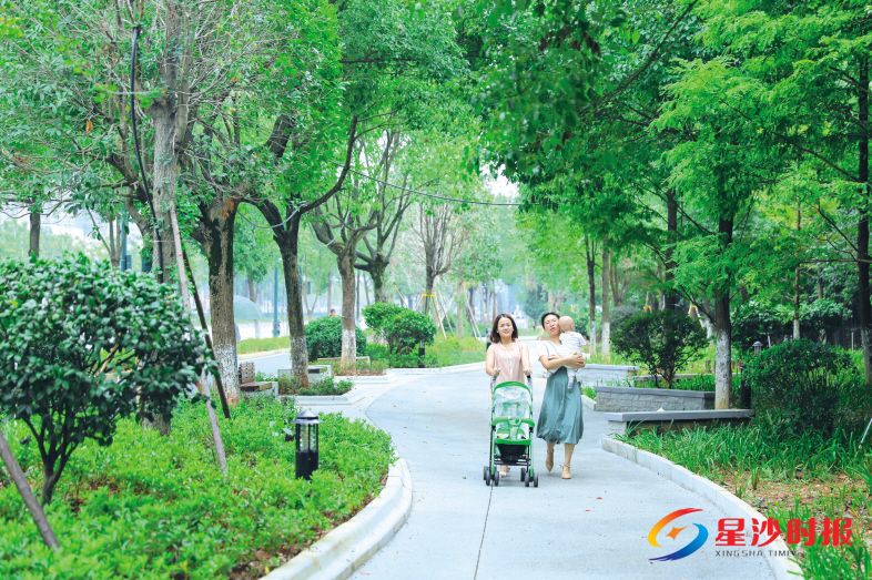 　　星沙大道改建绿道人行道，路面用麻石板铺设，助行人安全畅行。