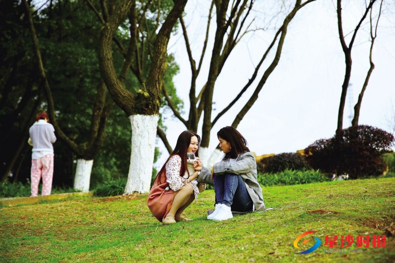 星沙特立公园内,市民们纷纷相约出来踏青寻春意。