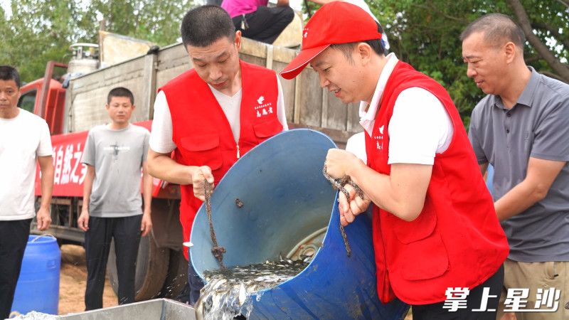 活动现场志愿者将鱼苗倒进鱼槽放流。