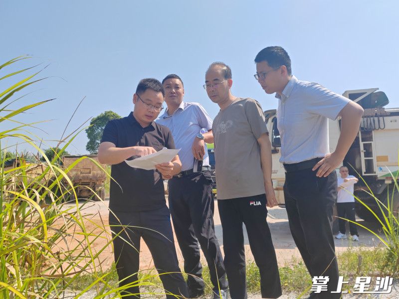 实地查看现场。青山铺镇供图