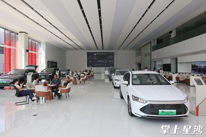 在比亚迪王朝店，不少顾客前来看车。文雅丽摄
