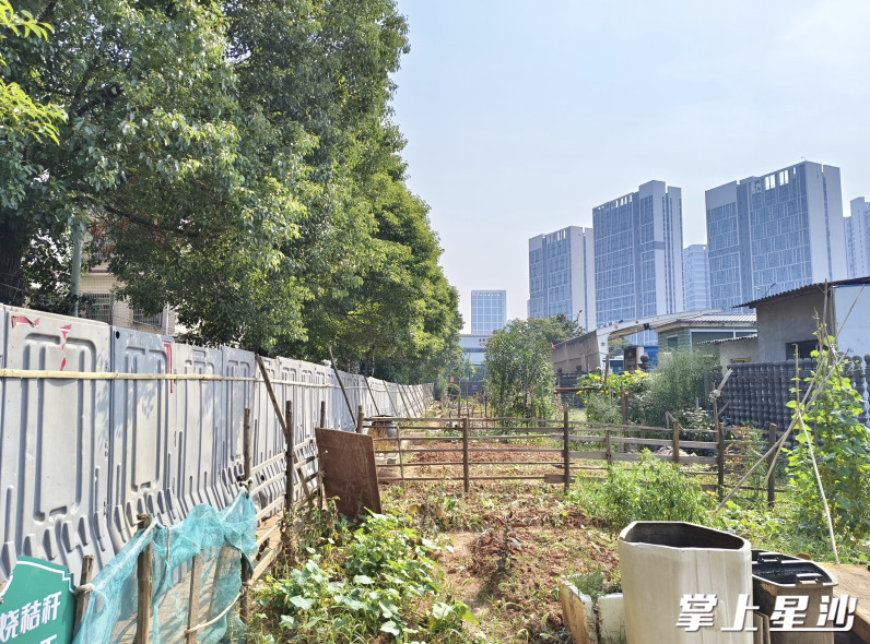 计划将闲置菜地改造成电动自行车停车充电棚。均为县住建局供图 计划将闲置菜地改造成电动自行车停车充电棚。均为县住建局供图