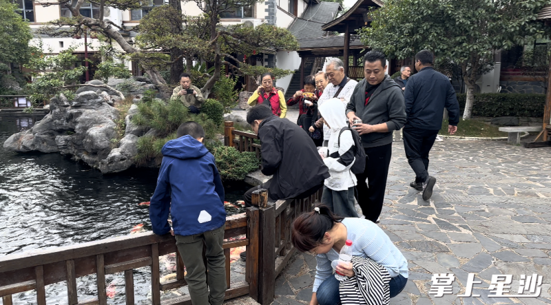 锦绣江南生态农庄内，游客们正在享受亲子家庭慢时光。