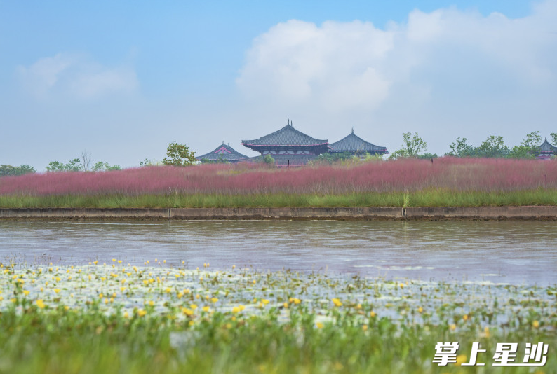 松雅湖岸风光。