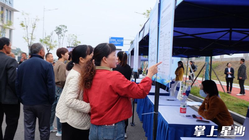 求职者们穿梭于各个企业展台，详细了解应聘条件和待遇情况。