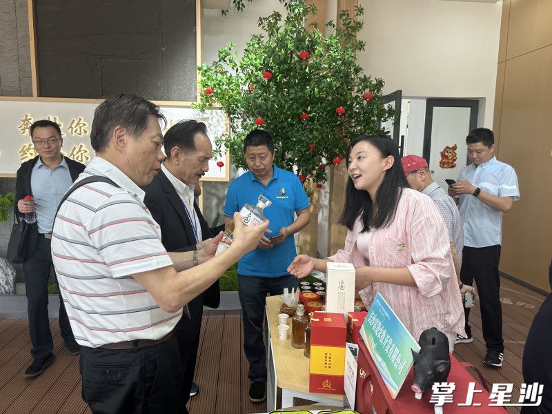 赖令推介自己的产品。