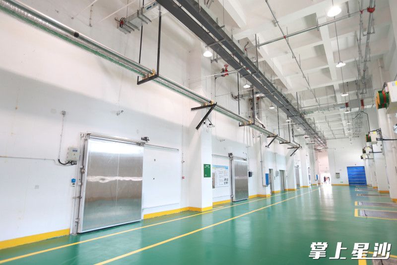 项目致力打造高效、安全的冷链物流平台及湖南地区最大的冰淇淋及冷饮中心仓。