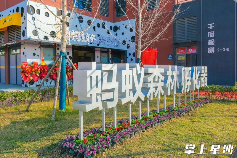 “蚂蚁森林”是自贸会展管委会所认定的服务平台，也是一个公益性质的平台，主要目的是为活跃地方经济，带动商事主体发展，为会展区这片热土的企业提供优质服务。