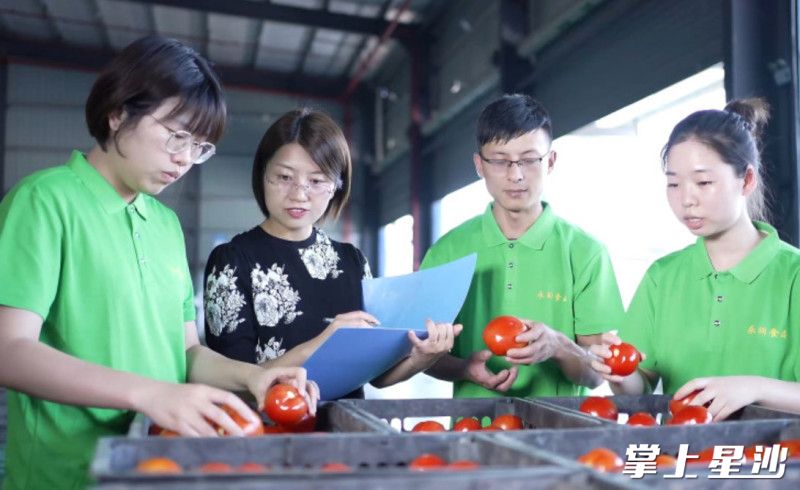 刘洋（左二）经常加班加点，给员工和农户开展绿色蔬菜种植技术及食品安全管控、检测技术等培训。