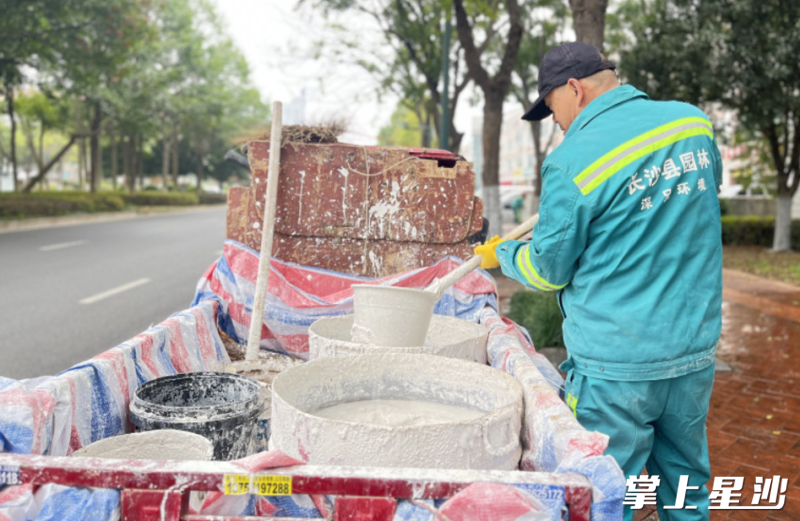 长沙县东胜路旁，园林工人卢志鸿正熟练地搅拌药水。均为杨欣雨 摄