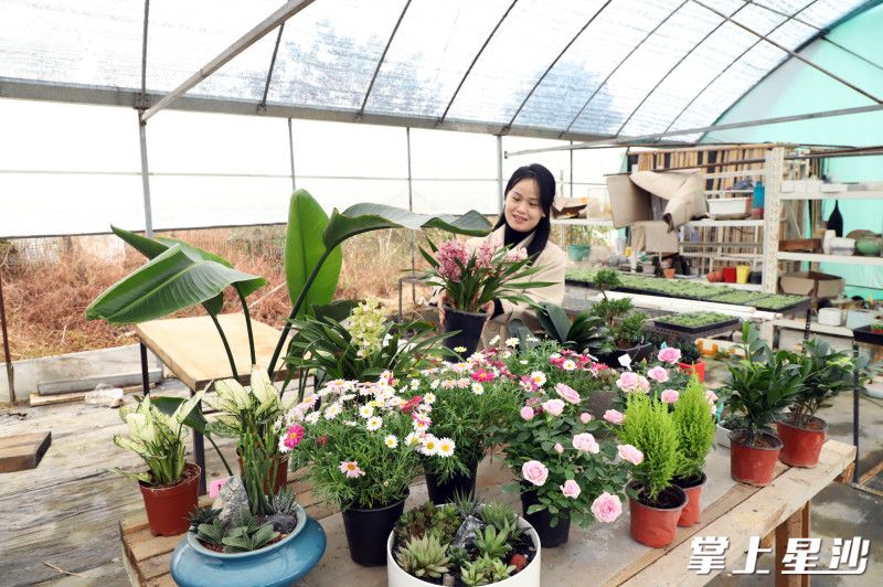 游客正在挑选心仪的花卉。