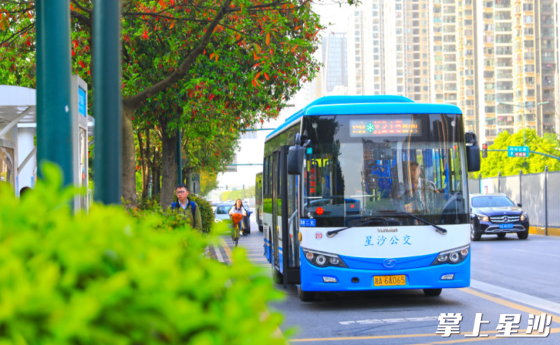 市民登录“我的长沙”APP实时查询公交到站信息。长沙县交通运输局供图