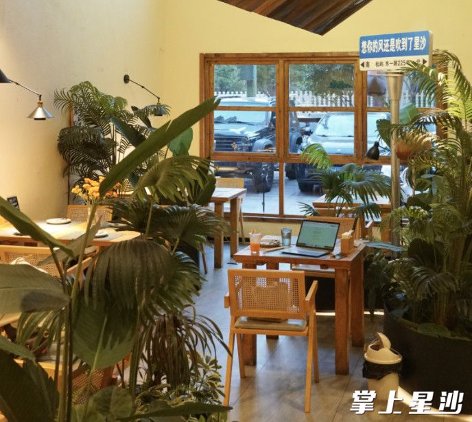 松屿无国界料理的店内环境温馨浪漫。