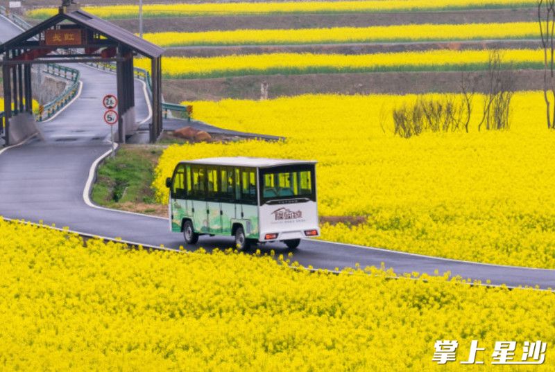 福临镇通过油菜花种植，迎来35万游客打卡。 均为福临镇供图