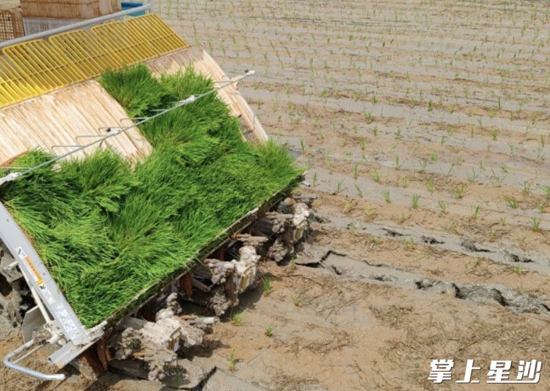 荒地重新变成了松软平整的基本农田。北山镇供图