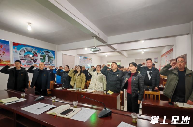 全体党员重温入党誓词。