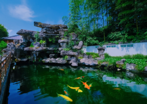 诗意繁花·二十四节气｜立春：春从此时起，且看黄花万物新