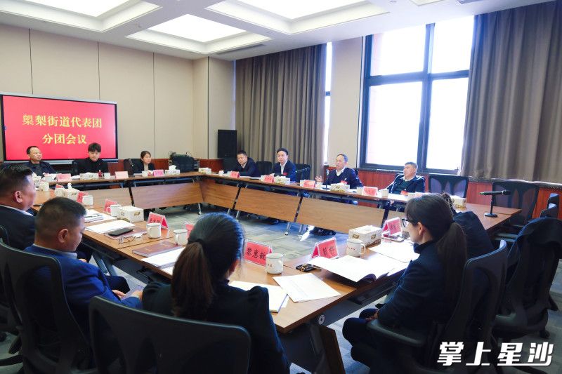 图为分团会议现场。李杰 摄