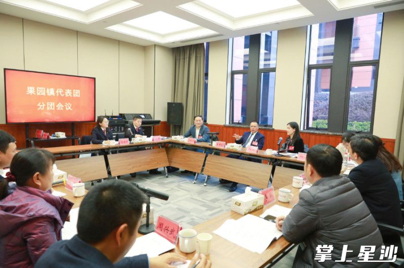 果园代表团分团会议现场。李杰 摄