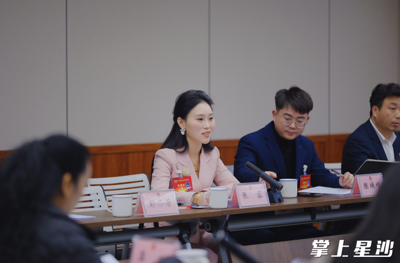 县政协委员热议报告。章帝 摄