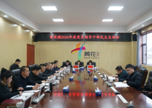 先锋繁花｜坚定理想信念 抓好问题整改 以过硬作风加快建设现代化临空产业新城